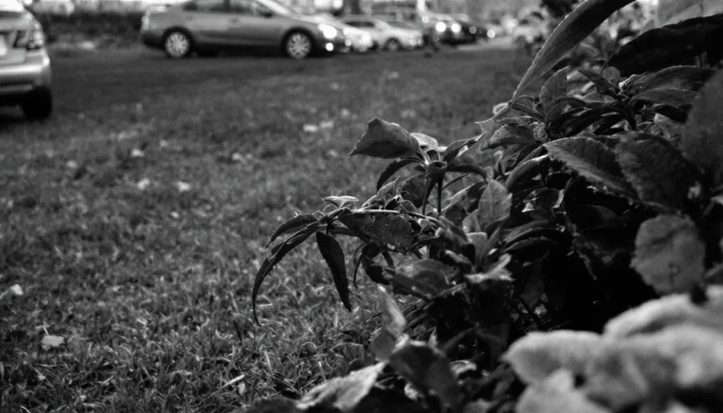 descubre cinco alimentos que elevan peligrosamente la glucosa sin contener azúcar ni dulces, y aprende a cuidarte mejor.